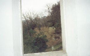 Foto scattata dall'interno dalla casa pendente