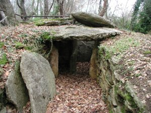 La necropoli nel bosco