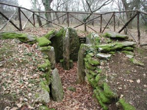 La necropoli nel bosco