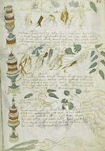 Una pagina del discusso manoscritto
