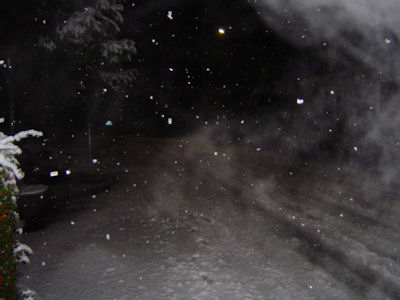 Immagine scattata durante un'abbondande nevicata con utilizzo del Flash, una condizione ideale per creare falsi positivi.