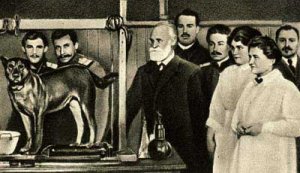 Rappresentazione di Pavlov durante uno dei suoi celebri esperimenti.